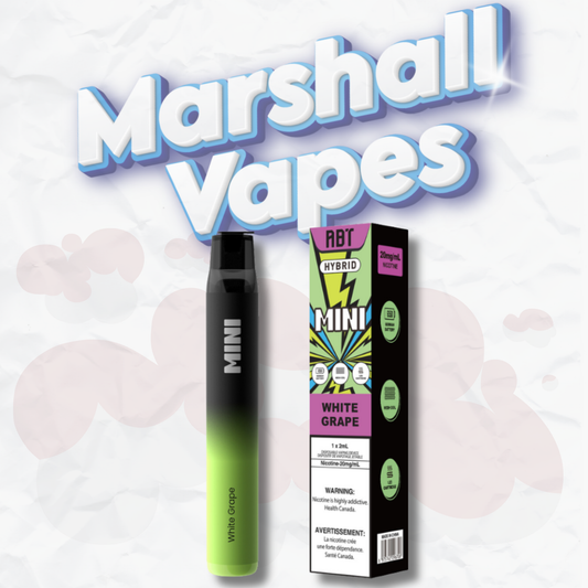ABT Hybrid Mini Disposable Best Price in British Columbia | Best Flavour Selection & Fast Delivery