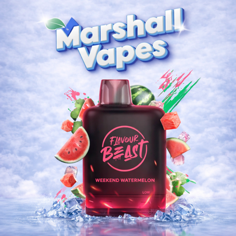 Flavour Beast G2 Level X Flavour Pod 32000 puffs replacement pod high capacity prefilled pod smooth flavour delivery for G2 Level X device