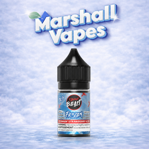 Flavour Beast Frozen Series Salt