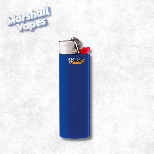 BIC Regular Size Lighter