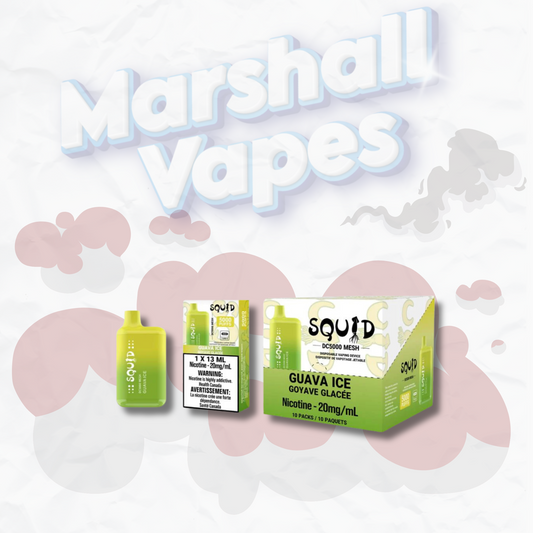 Squid Disposable 5000 Guava Ice
