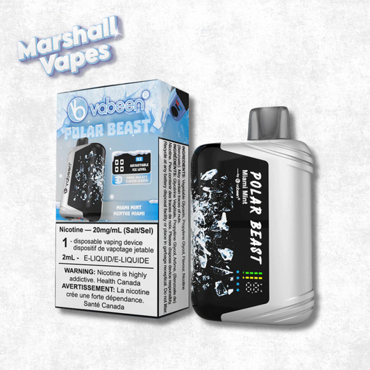 Polar Beast Vabeen Disposable – Miami Mint