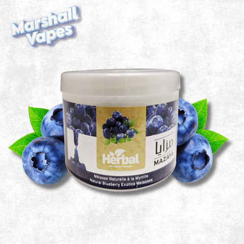 Mazaya Non Tobacco Molasses Blueberry with Mint