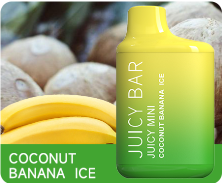 Juicy Bar Coconut Banana Ice